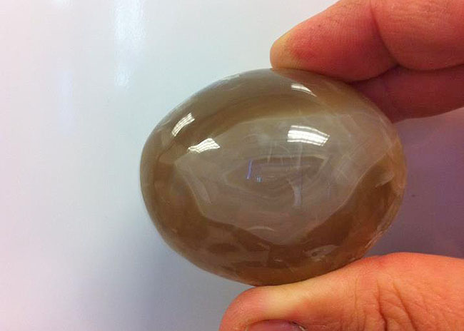 Very hard Agate. Haven't finished up polishing it yet, but you can certainly see the designs.